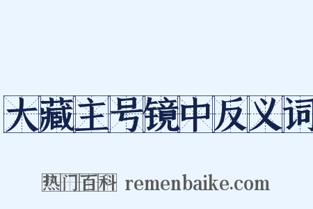 大藏主号镜中反义词是什么意思的图片